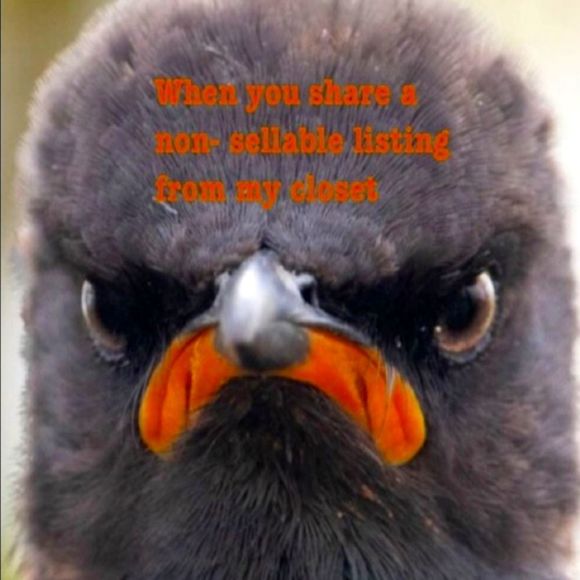 Poshmark Humor - Picture 5 of 10